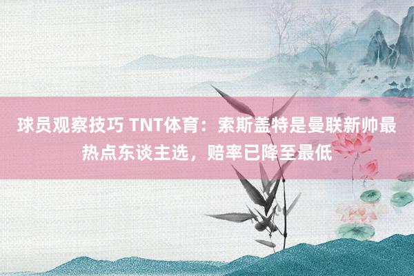 球员观察技巧 TNT体育：索斯盖特是曼联新帅最热点东谈主选，赔率已降至最低