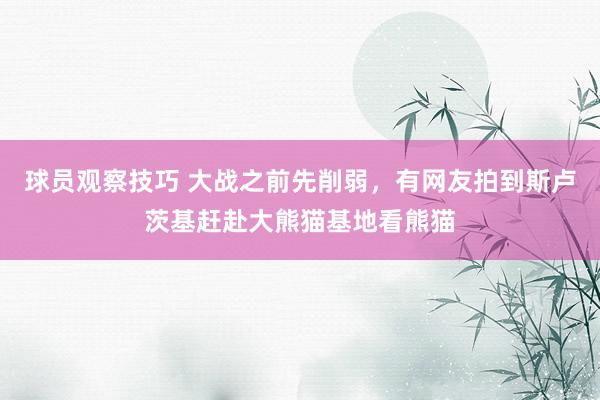 球员观察技巧 大战之前先削弱，有网友拍到斯卢茨基赶赴大熊猫基地看熊猫