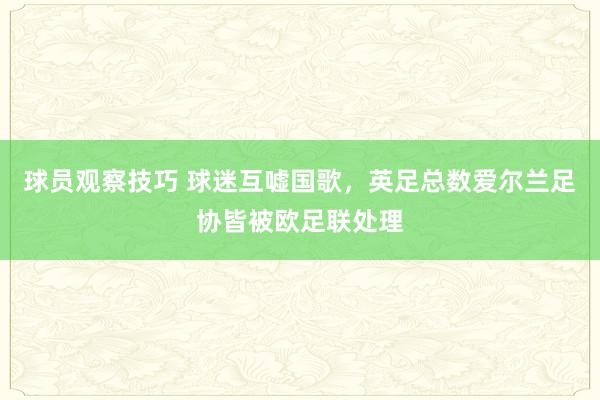 球员观察技巧 球迷互嘘国歌，英足总数爱尔兰足协皆被欧足联处理