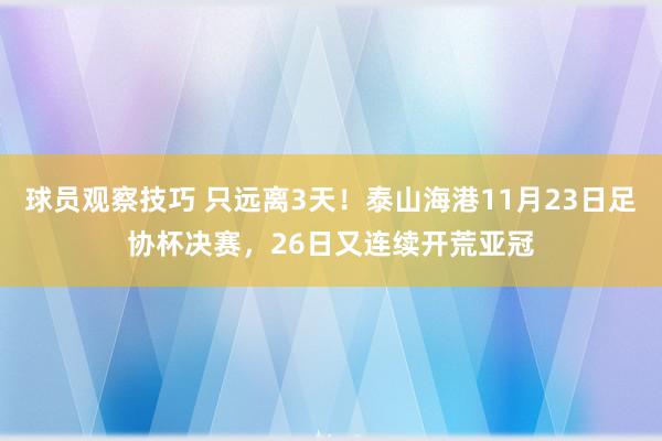 球员观察技巧 只远离3天！泰山海港11月23日足协杯决赛，26日又连续开荒亚冠