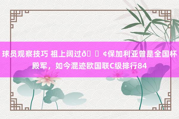 球员观察技巧 祖上阔过😢保加利亚曾是全国杯殿军，如今混迹欧国联C级排行84