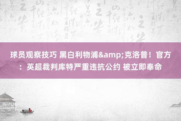 球员观察技巧 黑白利物浦&克洛普！官方：英超裁判库特严重违抗公约 被立即奉命