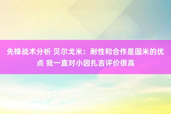 先锋战术分析 贝尔戈米：耐性和合作是国米的优点 我一直对小因扎吉评价很高