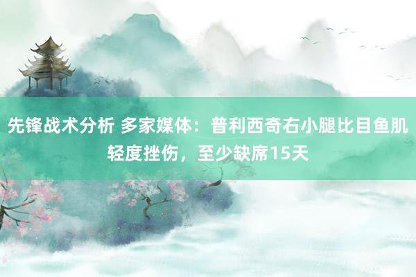 先锋战术分析 多家媒体：普利西奇右小腿比目鱼肌轻度挫伤，至少缺席15天