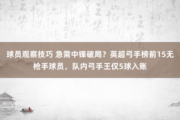 球员观察技巧 急需中锋破局？英超弓手榜前15无枪手球员，队内弓手王仅5球入账