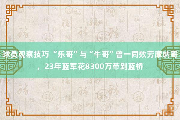 球员观察技巧 “乐哥”与“牛哥”曾一同效劳摩纳哥，23年蓝军花8300万带到蓝桥