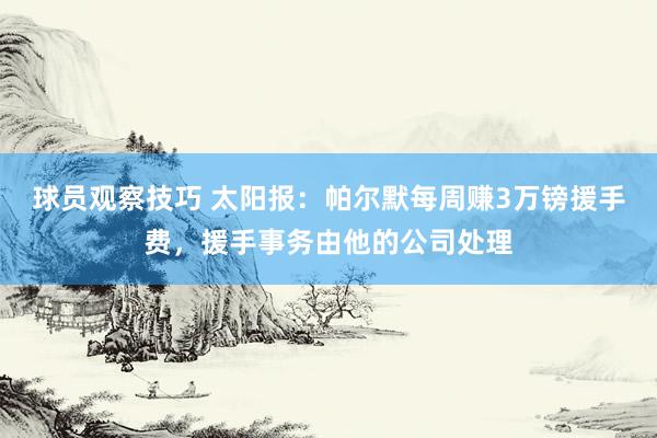 球员观察技巧 太阳报：帕尔默每周赚3万镑援手费，援手事务由他的公司处理