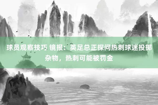 球员观察技巧 镜报：英足总正探问热刺球迷投掷杂物，热刺可能被罚金