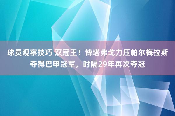 球员观察技巧 双冠王！博塔弗戈力压帕尔梅拉斯夺得巴甲冠军，时隔29年再次夺冠