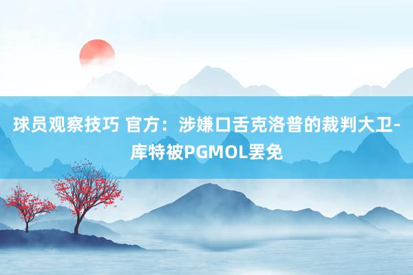 球员观察技巧 官方：涉嫌口舌克洛普的裁判大卫-库特被PGMOL罢免